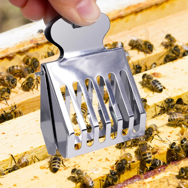 1pcs Bee Queen Cage Transparent Plastic Clip Cage Bee Catcher Box Stainless steel clamp Beekeeping Equipments Beekeeper Equip 6