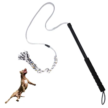 Heavy-Duty Interactive Dog Flirt Pole 1