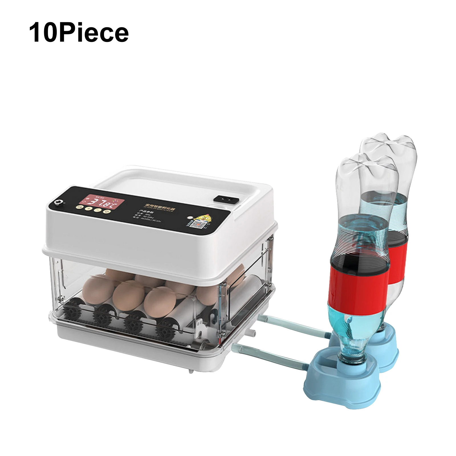10 Eggs