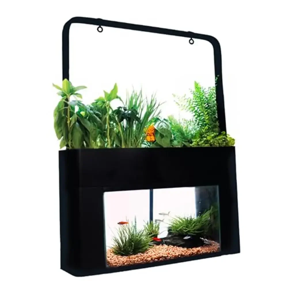 Aquaponics Desktop Garden – 10-Gallon Self-Sustaining Hydroponics Kit 1