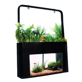 Aquaponics Desktop Garden – 10-Gallon Self-Sustaining Hydroponics Kit 1