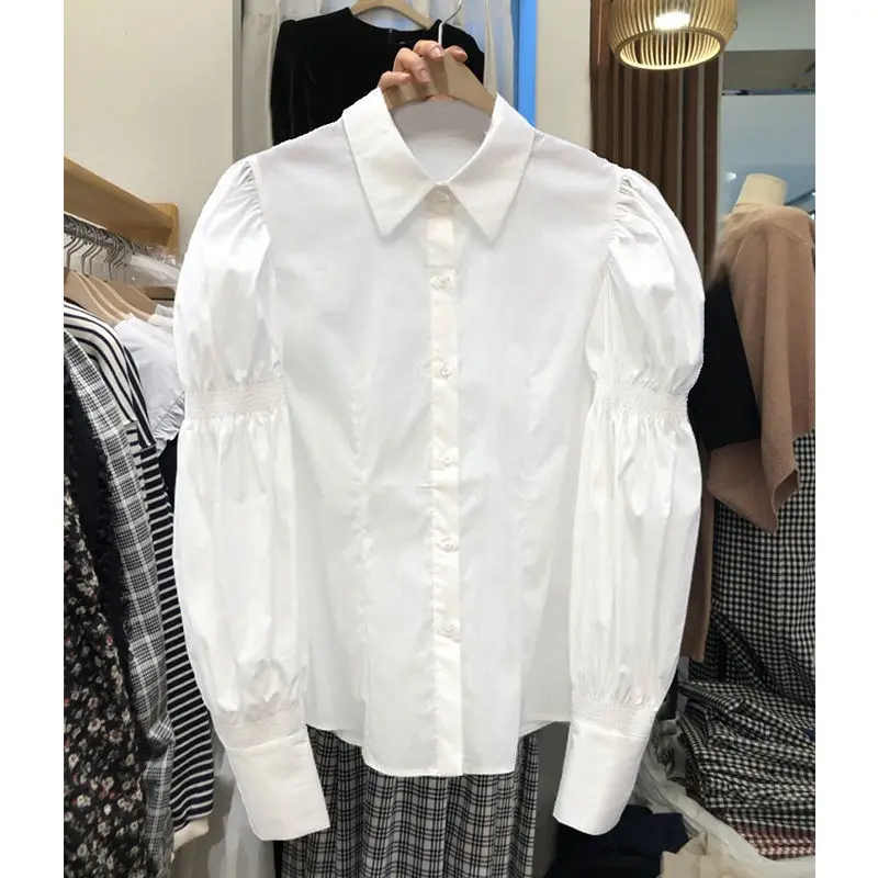 

Autumn Korean Chiffon Women Blouse 2024 New Long Puff Sleeve Single Breasted Workwear Office Shirts Blouse Top Female F243