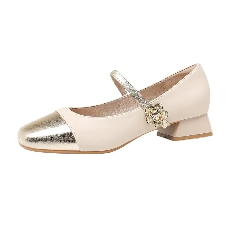 Square Toe Mary Jane Shoes for Women Chunky Sandals Shallow Mouth Casual Mid Heel Pumps New Women Footwear Zapatos De Mujer 5
