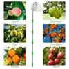 Fruit Picker Head Basket With Telescopic Extendable Pole Portable Harvesting Fruit Collector Catcher Garden Fruit Picking Tools 5