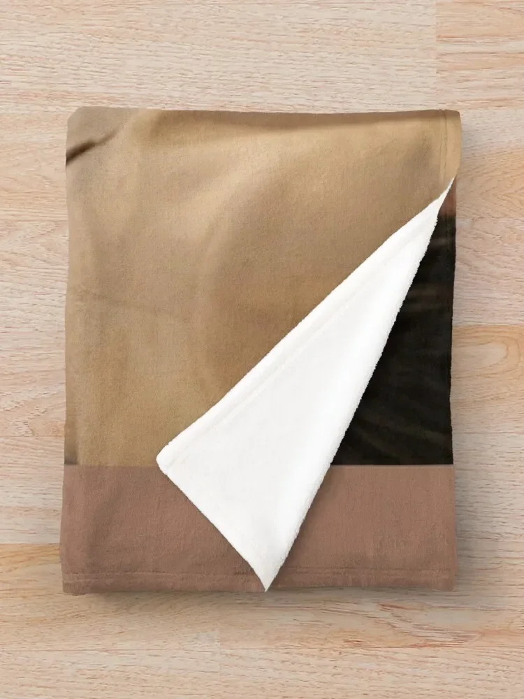 ù ī���� ���� ģ�� BL �ø��� Ÿ�� �±� gmmtv bl �ø��� ������ ���, ��� ħ��, ��� ���