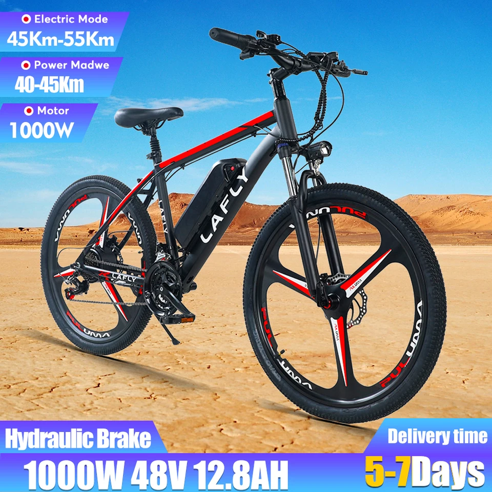 Lafly E-bike 電動自転車 1000W 48V 15ah Lafly E-bike 電動自転車 1000W 48V 15ah