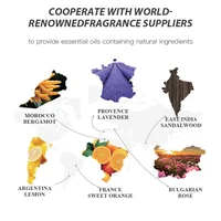 NAMSTE Diffuser Essential Oil Hotel Essential Oil Home Fragrance Aromatizador Humidificador Aceites Esenciales Aroma Diffuser 6