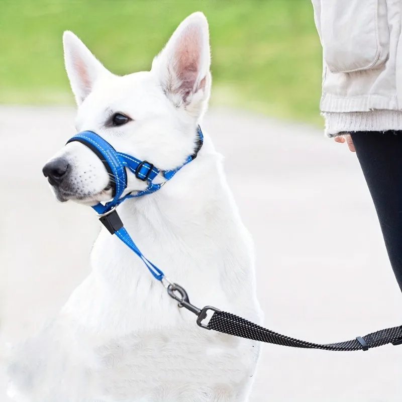 2-Pack Adjustable Nylon Dog Muzzles with Reinforced Stitching Leader Halter with Safety Strap for Training and Pull-Free Walks dog muzzle