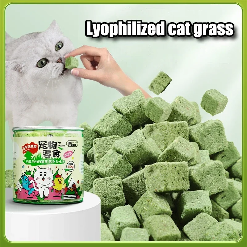 60g Cat Snacks Freeze-dried Fresh Meat