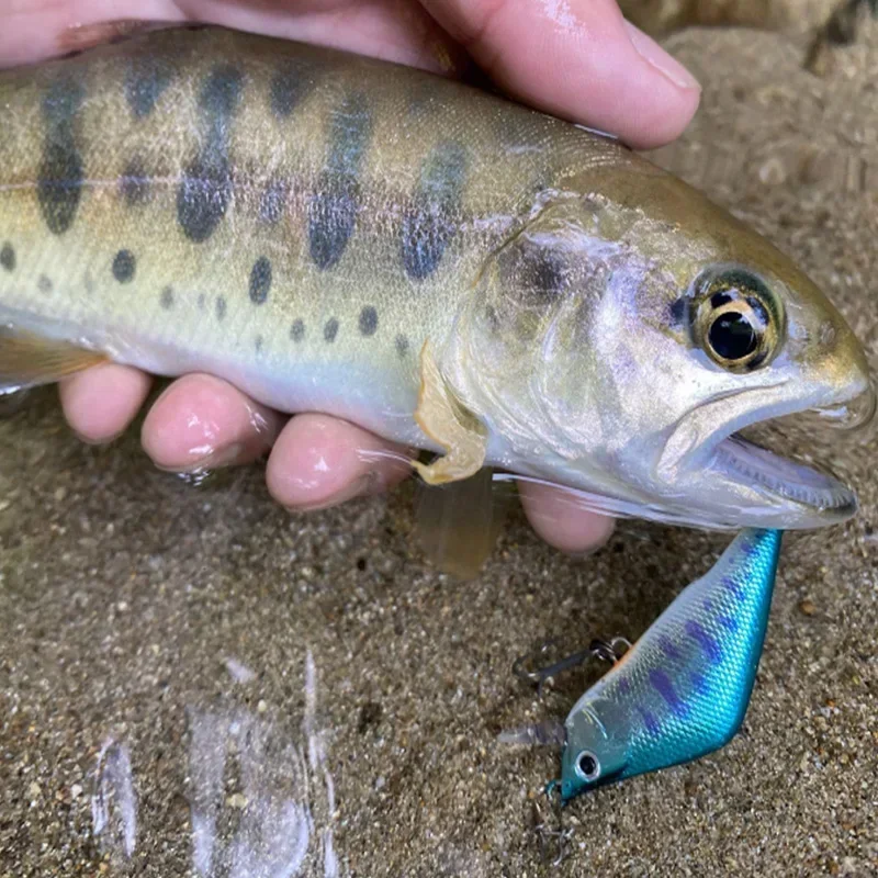 Slide image c55903c7ecb64067a2cce142f31218ed