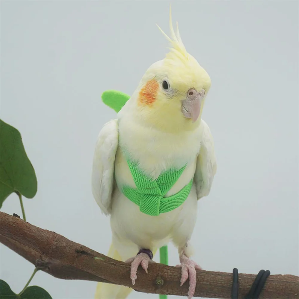 Bird Foot Rings Bird Traction Belt Nylon Harness Flight Training Rope Bite Adjustable Outdoor Flying Training Rope bird foot rings,birds foot rings