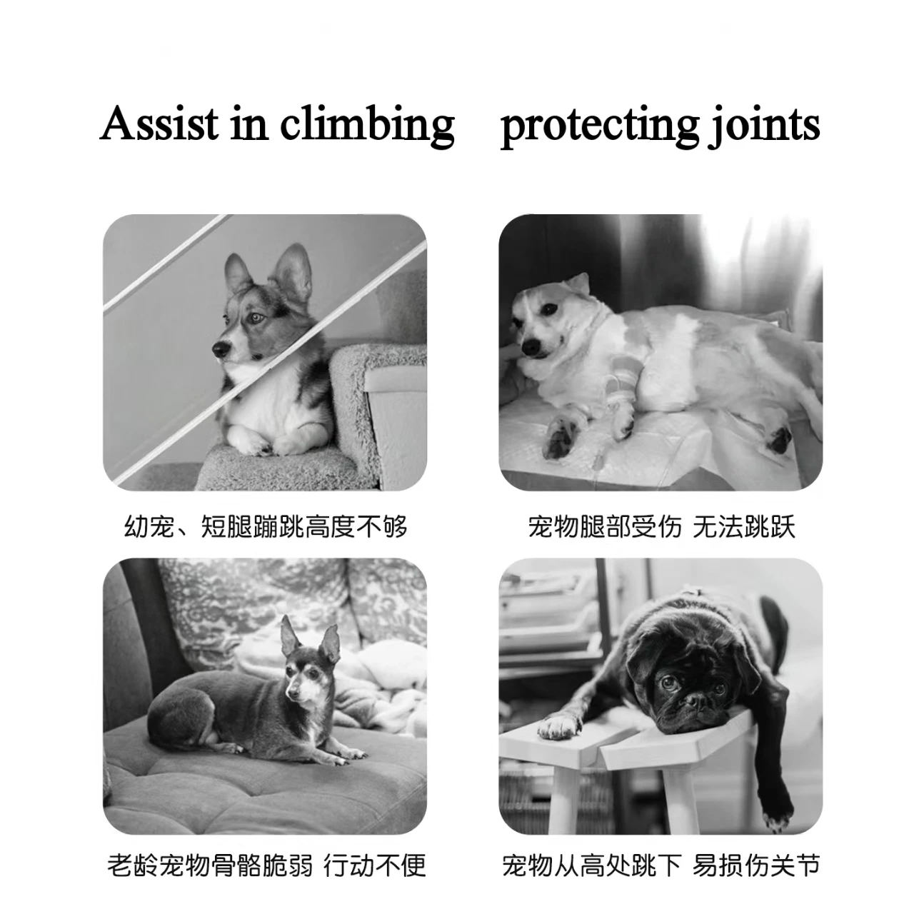 Pet 2/3 Step Stair Dog/Cat Ramp Ladder Memory Foam Sponge Dogs Sofa Removable and Washable Training Pet Ramp Stairs Pet Supplies