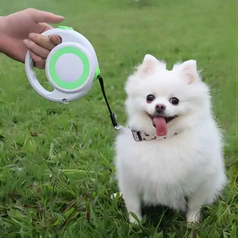 

5M Pet dog anti-pull automatic retractable leash portable dog leather collar accessories