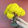 Hot-selling DIY handmade Micro-Scene Simulation Miniature Wire Tree Sand Table Model Scene Tree Tree Scene Can be customized 5