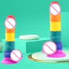 Rainbow Double Layer Silicone Big Dildo Realistic Fake Long Dick Penis Butt Plug Adult Sex Toy For Woman Men Vagina Anal Massage 1