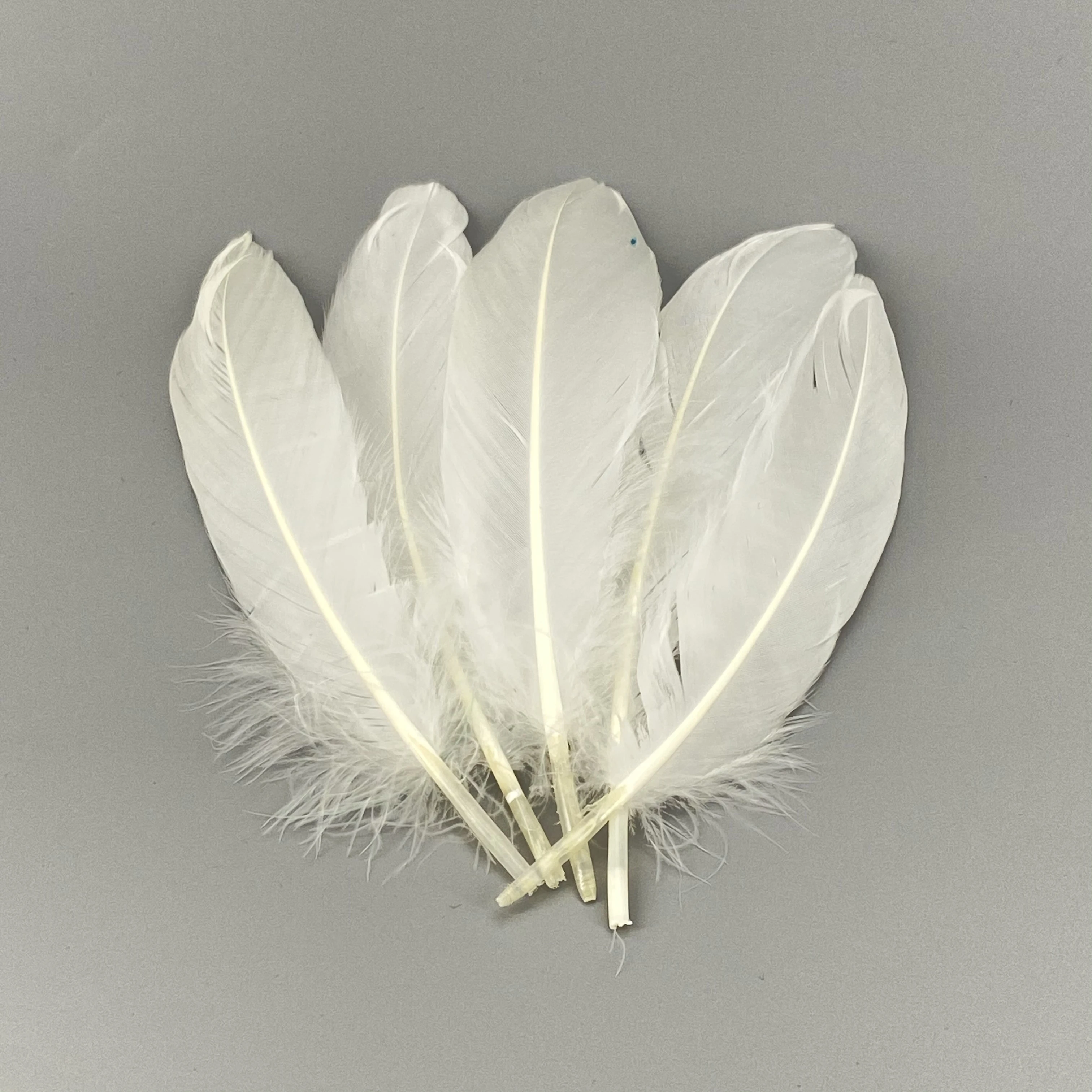 Description Picture 3 of item20Pcs White Pheasant Feathers for Crafts Natural Ostrich Feather Goose Turkey Plumes Dream Catcher Accessories DIY Wedding Decor