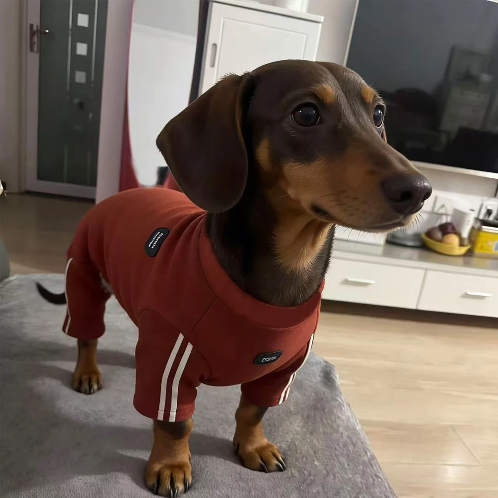 위너독을 위한 4다리 스웨트셔츠, 소형 및 중형 소시지견을 위한 부드러운 반사 의류, 다크슈트를 위한 회색 면 의상