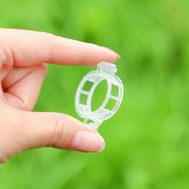 Növénytámogató Klipek A Kerti Paradicsom Zöldségszőlővel Egyenesen És Készítsenek Növényeket Zsinegklipek Szőlőbab Zöldségek Gyümölcsök Rózsa - Image 2