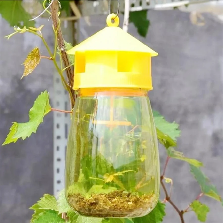 Fruit Fly Trap Plastic Fruit Fly Trap Killer Drosophila Trap Anti Fly Fruit Killer Catcher Orchard Insect Pest Control Bee