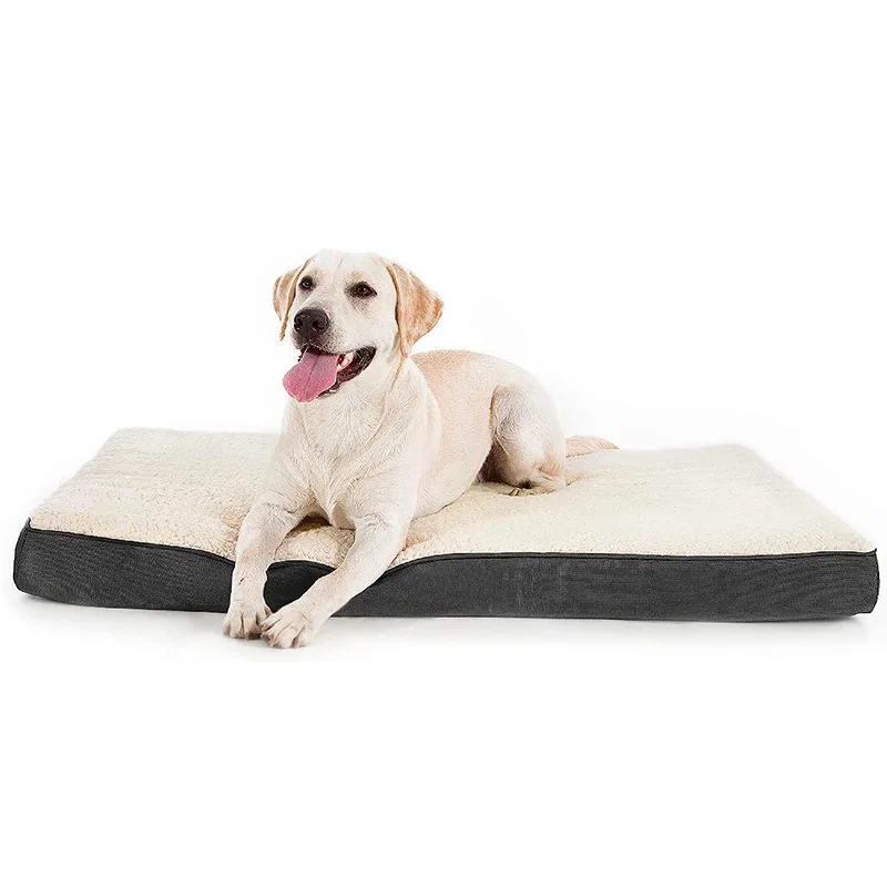 Removable Washable Sponge Dog Mat and Kennel