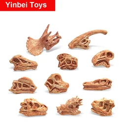 Cabeza de dinosaurio, esqueleto, fósil, huesos surtidos, juegos, figuras de acción, modelos, juguetes para niños