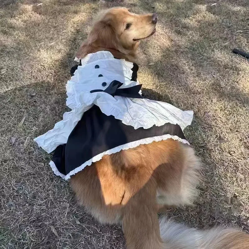 Summer Dog Dress Costume 3