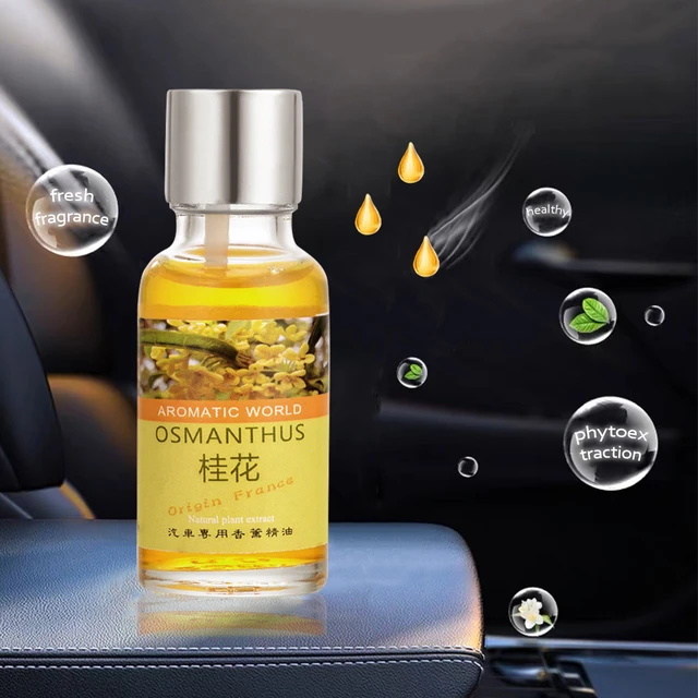 Car Air Vent Perfume Bottle Essential Oil Diffuser Bottle Air Vent Clip  Diffuser Empty Glass Aromatherapy Difuser For Automobile - AliExpress