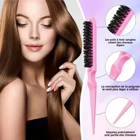 6 pièces/ensemble ensemble de brosses à cheveux coiffure vaporisateur bouteille cheveux tressage boucle Rat queue peigne taquin cheveux Brsuh bord contrôle brosse à cheveux 4