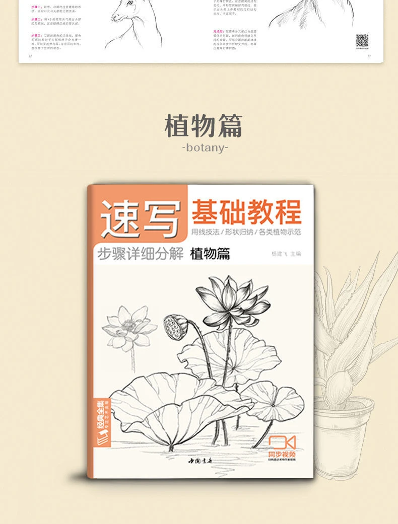 Grundlegende Skizzieren Tutorial Buch Anlage Tier Landschaft Abbildung Gesichts Skizze Lehrbuch Null Basierend Selbst Studie Skizze Geschick Detail Bücher – Detail 12