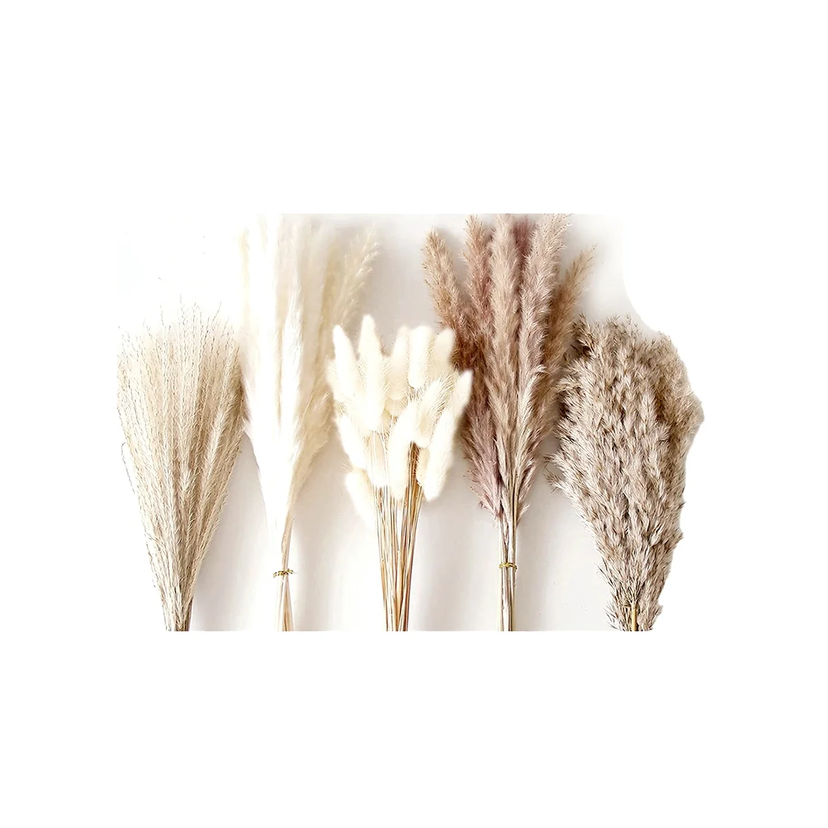 

120 шт. пампасная трава Boho Home Decor сушеные цветы-пампасная трава содержит кролик белые пампасы коричневые пампасы Декор