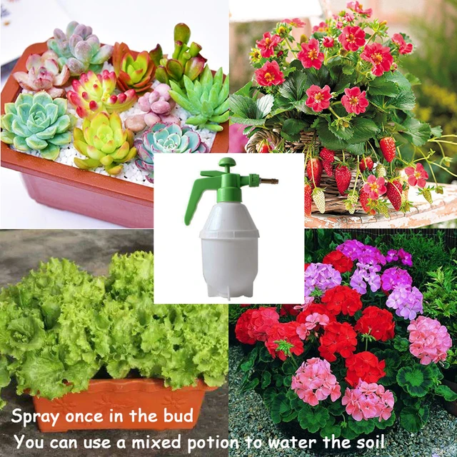 Talajkondicionáló Víz Oldódó Fekete Kalium Humátus Vízoldható Típus Huminsav Szerves Műtrágyán Alapul - Image 4