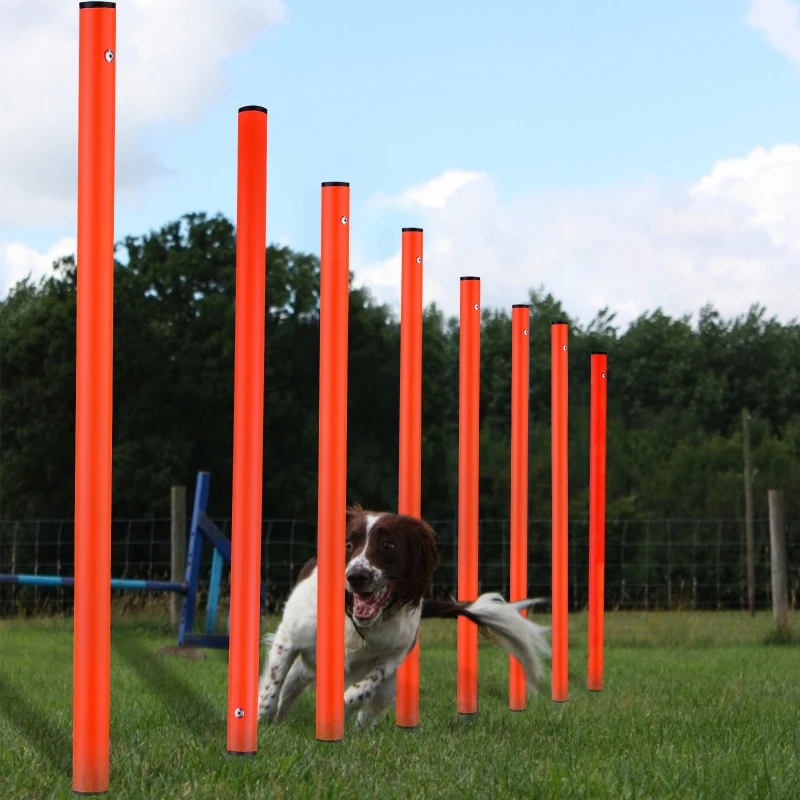 PawHut Agility sport pour chiens kit d'équipement d'agilité pour chiens  avec obstacle, tunnels, saut, slalom rouge