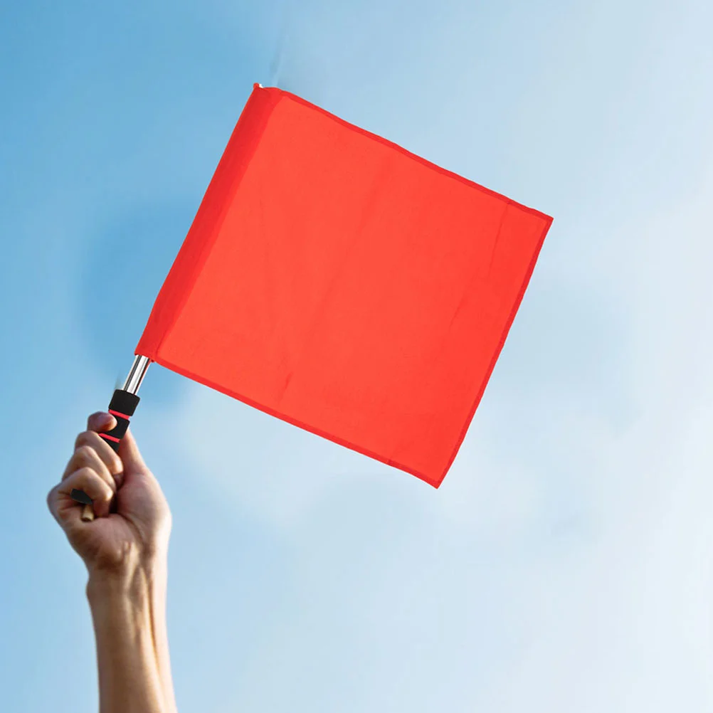 Рисунок 2 - флаги для школьного судьи