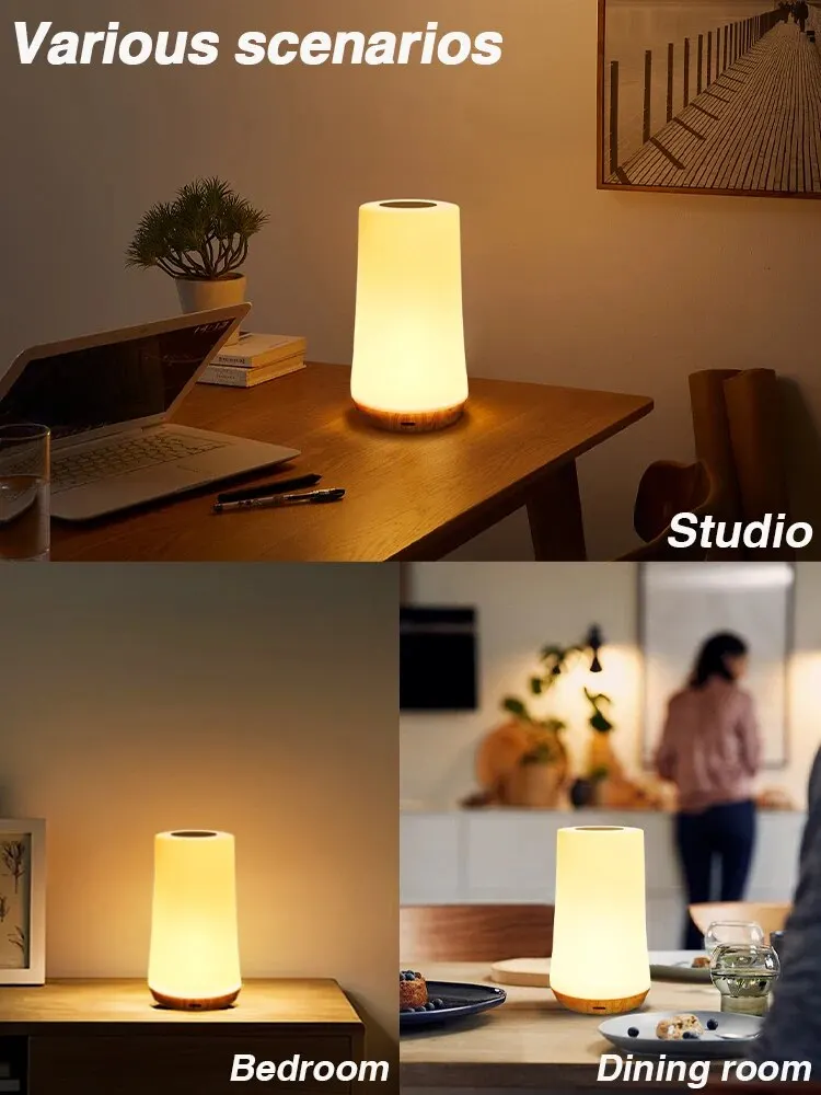 GGbingo 13 Color Night Light Touch Dimmable Remote Control USB Recharge Emergency Lighting RGB Portable Bedside Lamp for Home 5