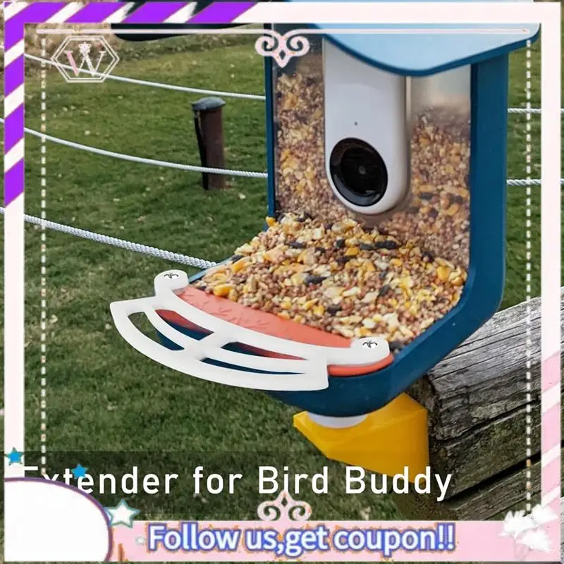 Bird Buddy Setup: The Essential Guide to Maximizing Your Smart Bird ...