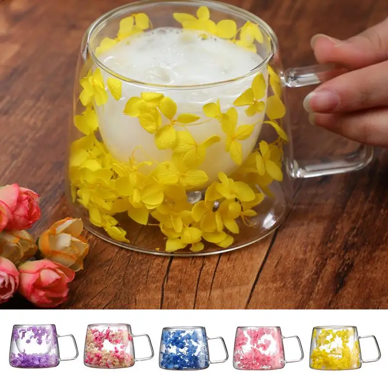 Real Flower Double Layered Glass Glasses A sky full of stars dried flowers milk coffee glass cups Flower Tea Cup milk cup 200ml