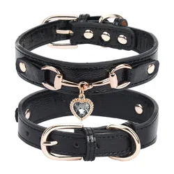 Elegant Rhinestone - Studded Adjustable Leather Pet Collar - M (Black)