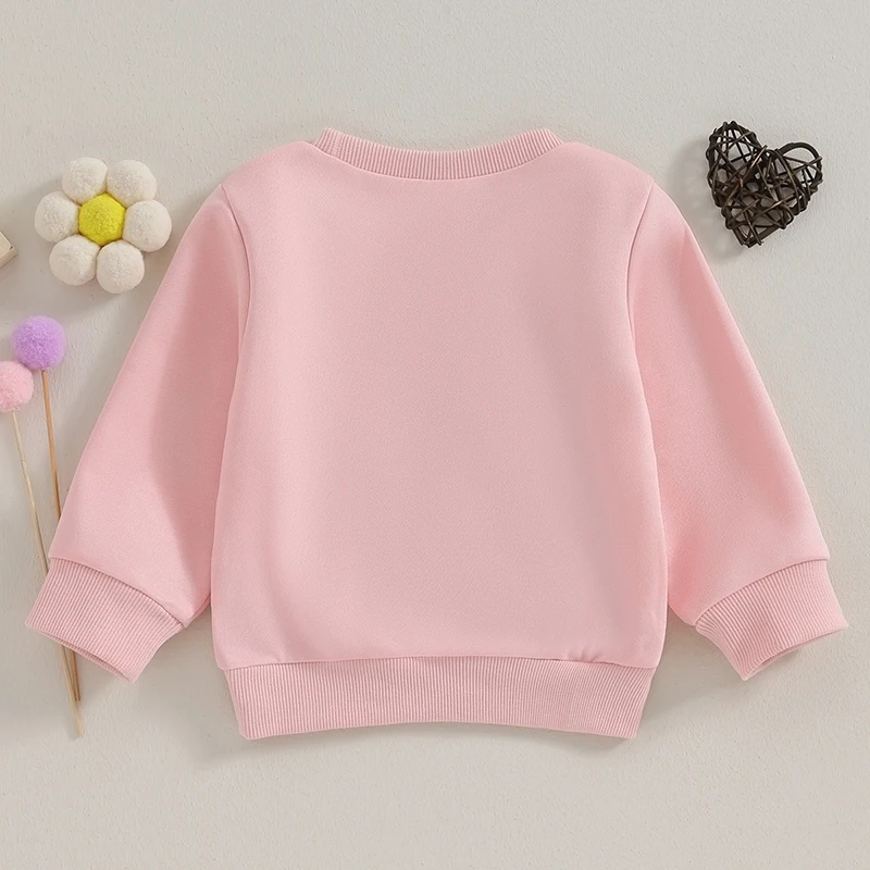 Toddler Kids Baby Girls Sister Matching Outfits Flower Letter Embroidery O-neck Pullover Long Sleeve Rompers/Sweatshirts Clothes 3