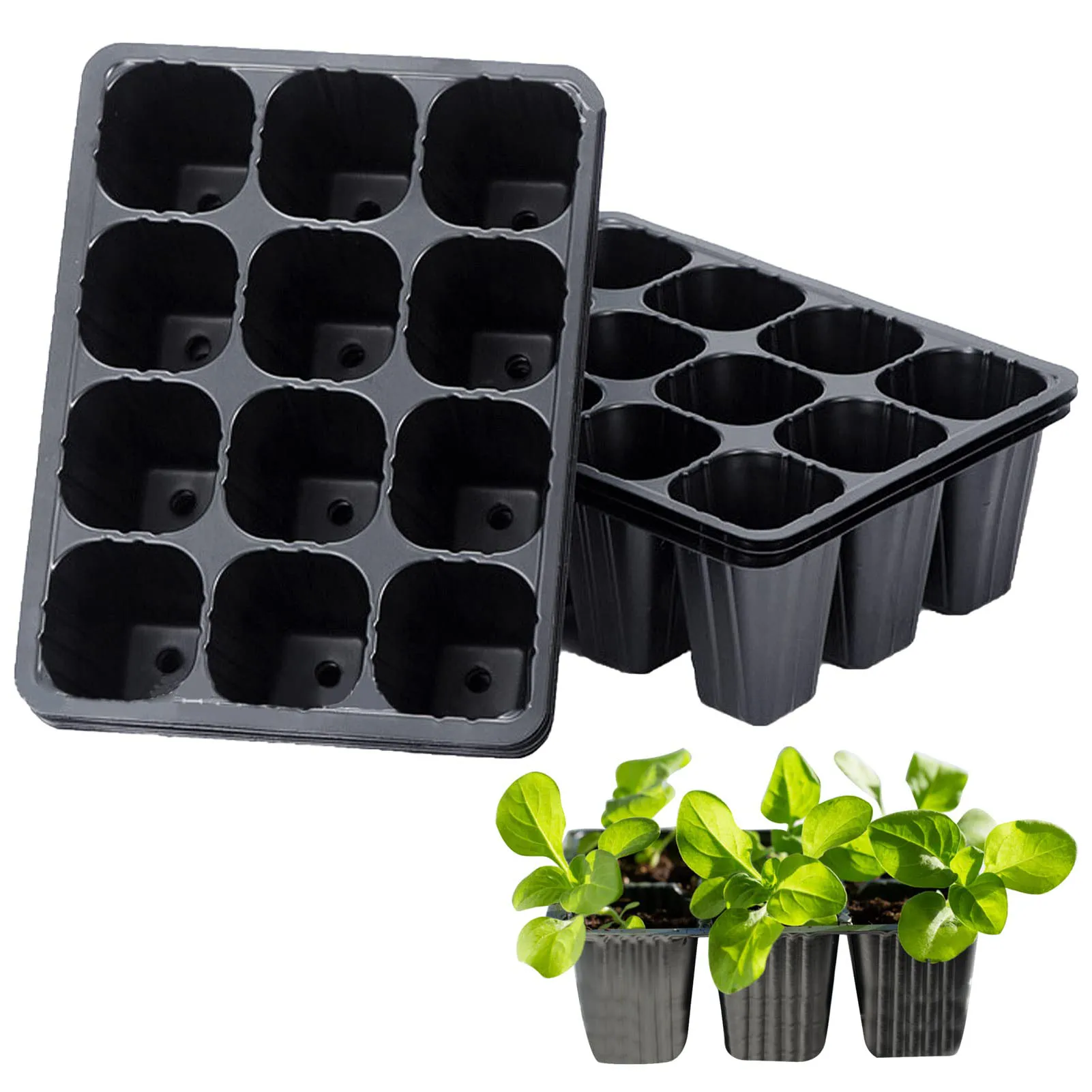 12 Löcher Gemüse Sämling Töpfe Schwarz Sämling Tablett Garten Topf Samen Keimung Pflanze Blumentopf Wachsen Box Für Pflanzen 10/20 Stücke – Detail 1
