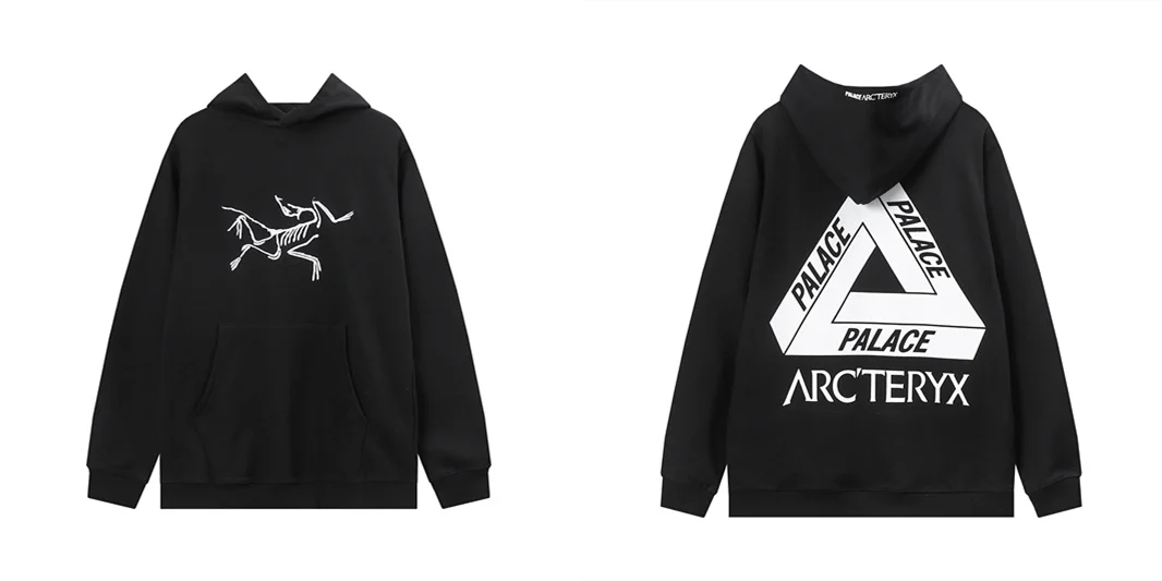 ARC'TERYX Palace High Street-suéter de manga larga letras, Sudadera con capucha, ARCTERYX bird, 2023