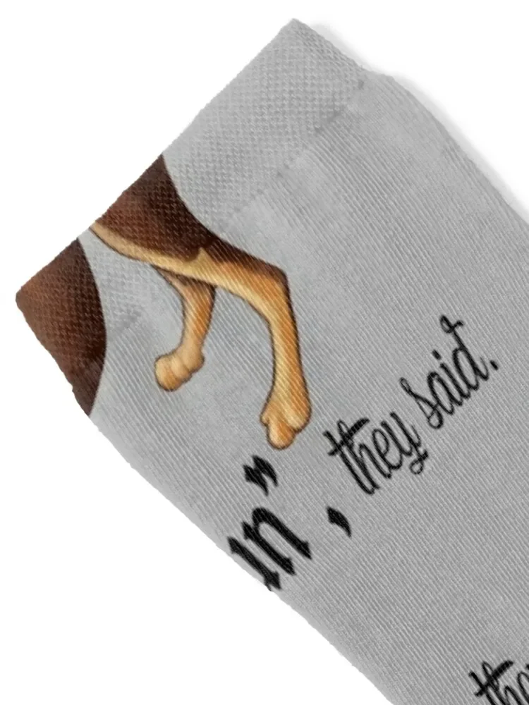 Get a Kelpie - it will be fun! Socks hip hop gifts for men sports socks men