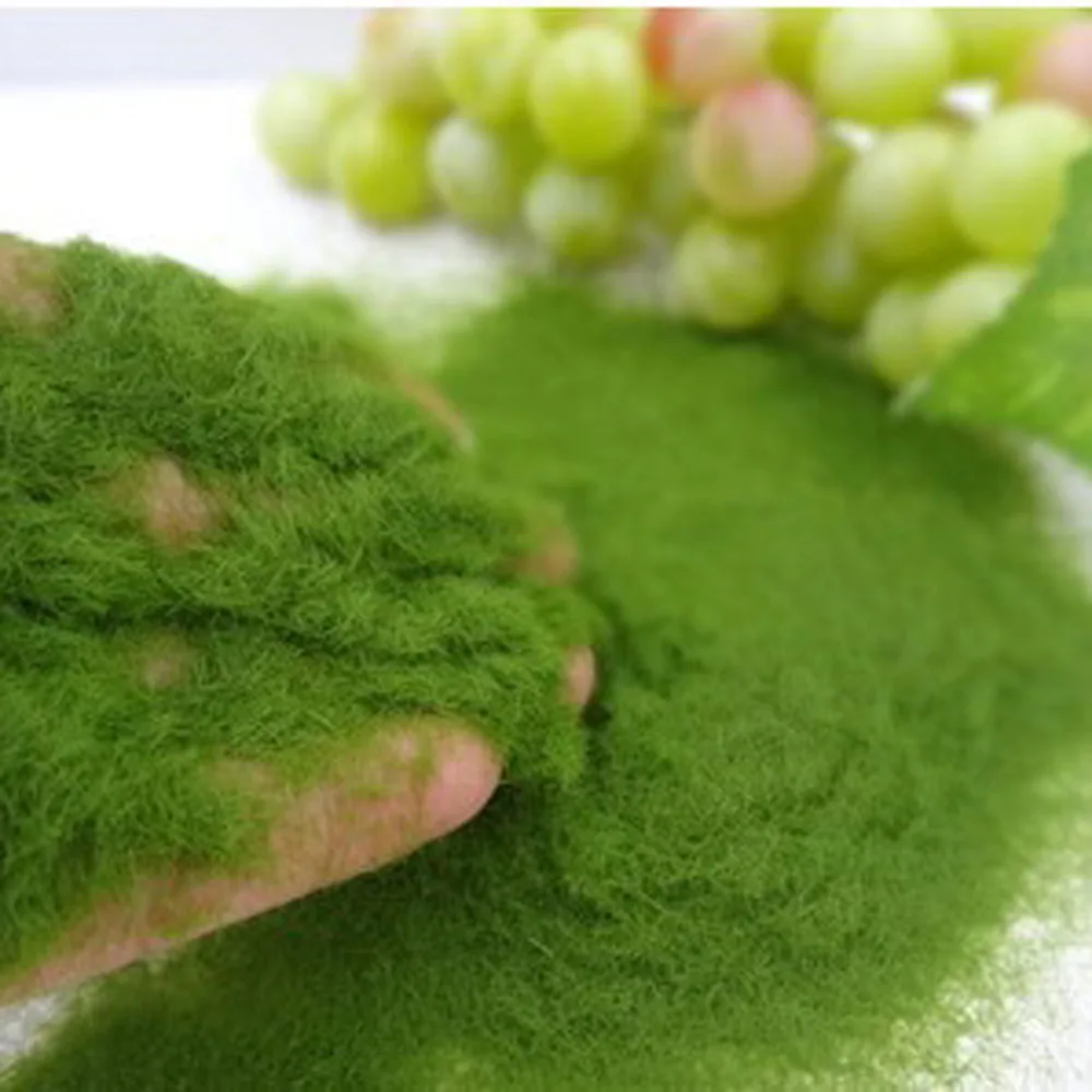 30g 5mm Piante verdi artificiali Poliestere Muschio Erba Casa Soggiorno Decorazione del giardino Mini Paesaggio Fiore finto Artigianato fai da te  15