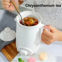 110V/220V Health Pot Office Porridge Cup Dormitory Mini Heat Water Cup Portable Bird's Nest Flower Tea Electric Stew Cup 500ML 1