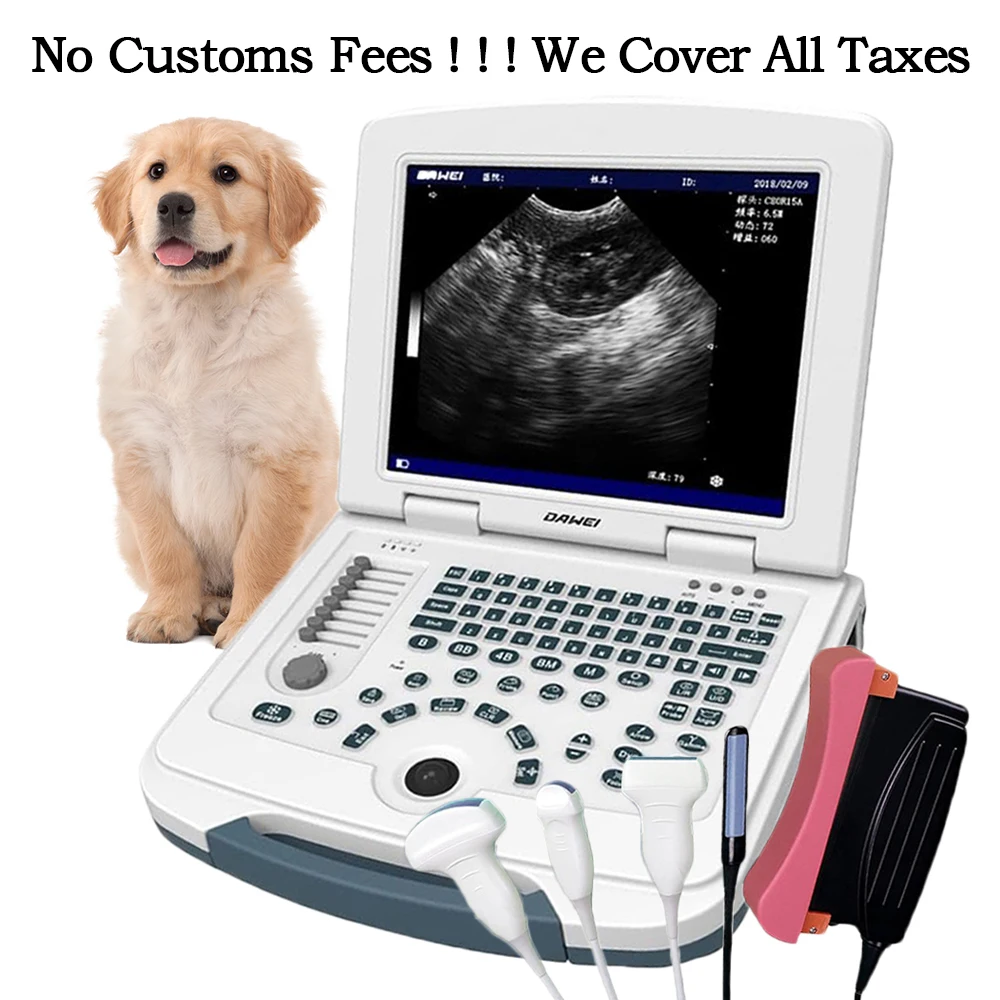 Veterinary Ultrasound Machine Portable Laptop Pregnancy Scanner Probes (B, BB, 4B, B+M, M) for Animal Hospital Home Farm