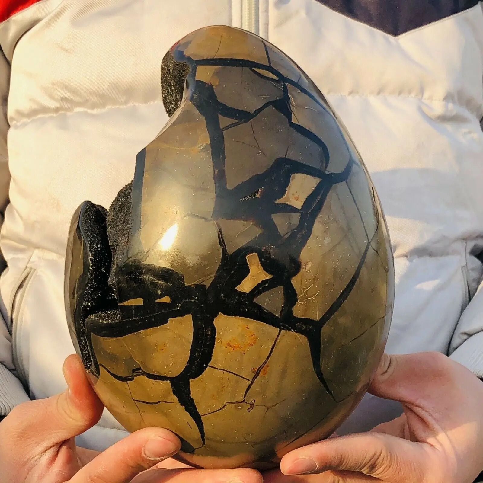 Natural Turtle Back Stone Egg Shape Dragon Crystal Crack Mineral SpecimenHome Office Hallway Decoration Healing Gift 4