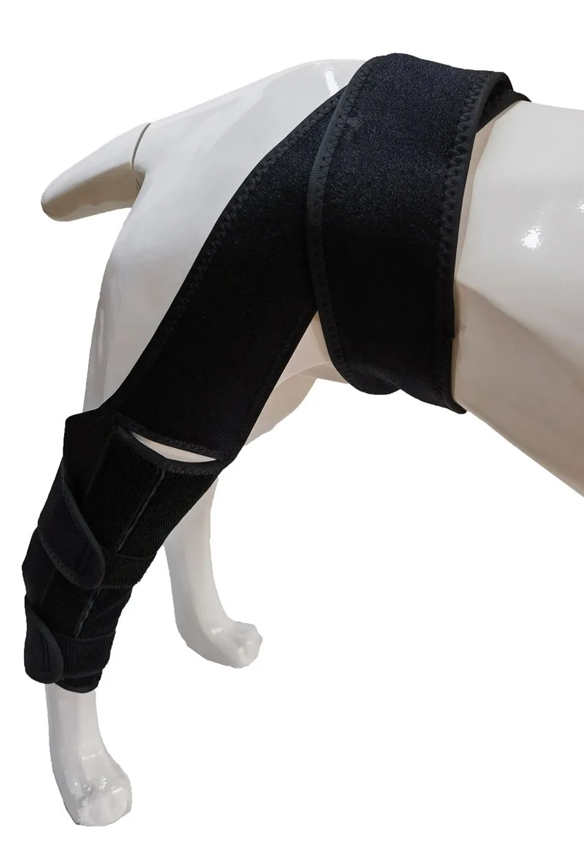 Title 13, Dog Knee Brace Pet Knee Pads For Support With C...
