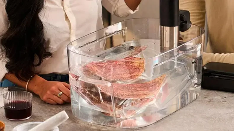 

220V CREATIVECHEF Sous Vide Machines: The Best Way to Achieve Perfectly Cooked Steaks and More