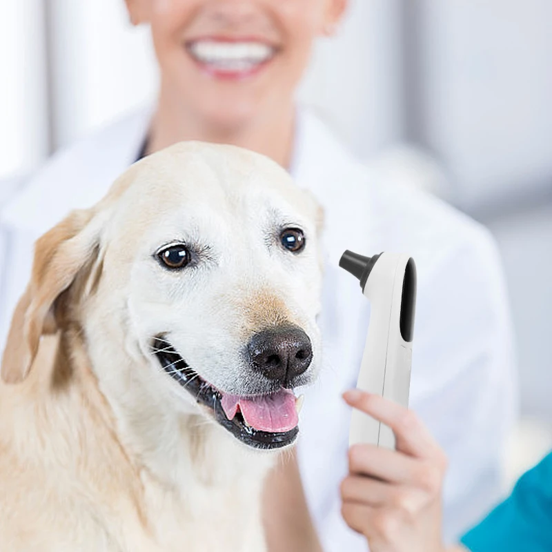 Animal Thermometer Pet Dog Cat Ear Digital Thermometers Animal Measuring Non-Contact Electronic Highly Accurate Pet Supplies veterinaria accesorios