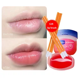 Vaseline Lip Balm Plumping Lip Oil Moisturizing Anti-Crack Mask Natural Plant Prevent Drying Repair Lip Lines Lipstick Lip Care