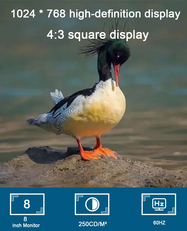 ZGYNK   Ӻ ͸ ݼ , VGA, AV, HDMI  LCD , 8 ġ